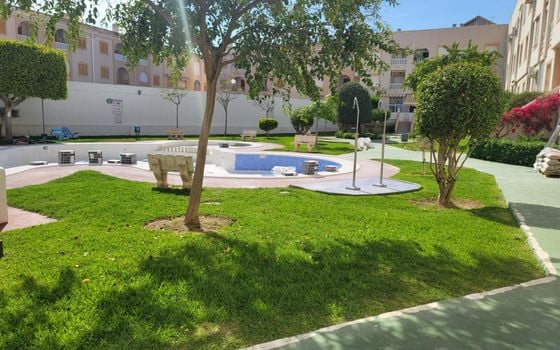 3 bedroom Penthouse in Torrevieja - SV88920 - Photo - Small - 24