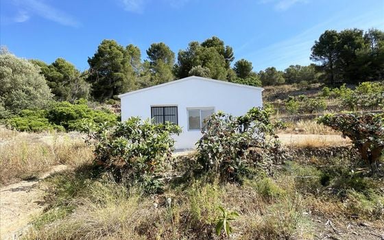 Parcela de  en Callosa de Ensarriá- IMBR88981 - Foto - 1