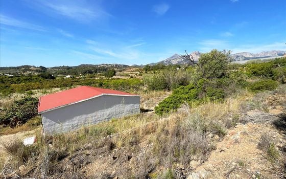 Parcela de  en Callosa de Ensarriá- IMBR88981 - Foto - Small - 8