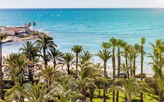2 bedroom Apartment in Torrevieja - CYM149533 - Photo - Small - 30