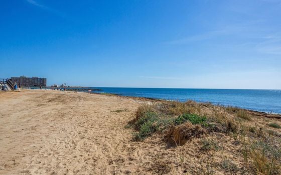2 bedroom Townhouse in Torrevieja - GVS133632 - Photo - Small - 27