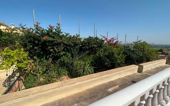 3 bedroom Villa in Algorfa - CSW90267 - Photo - Small - 27