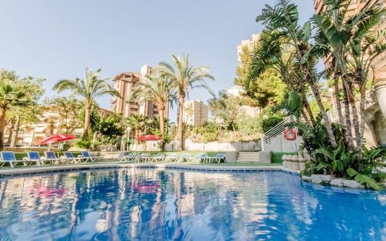 Appartement de 1 chambre à Benidorm - MIP90400 - Photo - 2