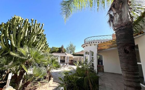 Villa de 6 chambres à Torrevieja - SHL90604 - Photo - Small - 23