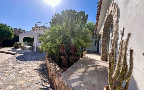 Villa de 6 chambres à Torrevieja - SHL90604 - Photo - Small - 27