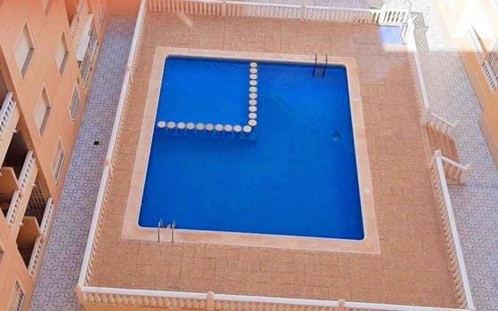 2 bedroom Apartment in Torrevieja - MVR90717 - Photo - Small - 15