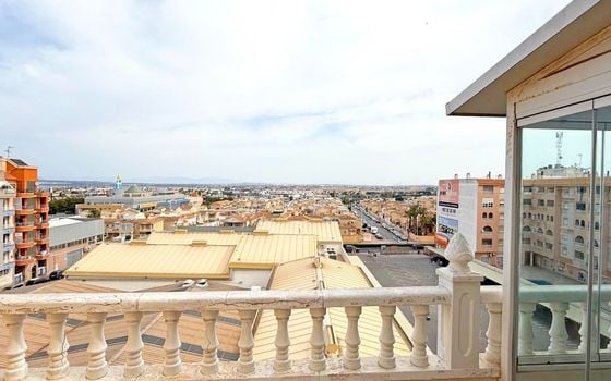 2 bedroom Apartment in Torrevieja - MVR90717 - Photo - Small - 14