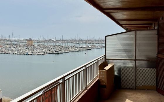 3 bedroom Apartment in Torrevieja - SV90939 - Photo - Small - 18
