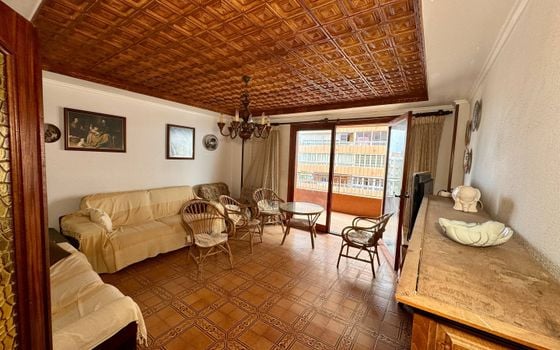 3 bedroom Apartment in Torrevieja - SV90939 - Photo - 2