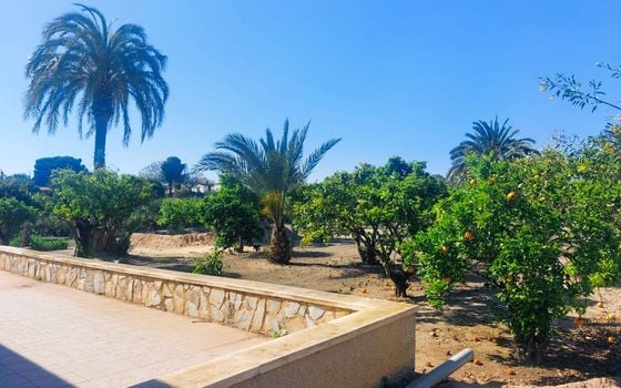 5 bedroom Villa in La Marina - CRR90998 - Photo - Small - 50