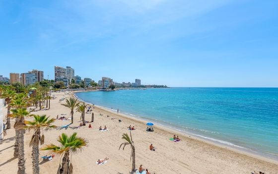 Appartement de 2 chambres à Alicante - CBB91004 - Photo - Small - 34
