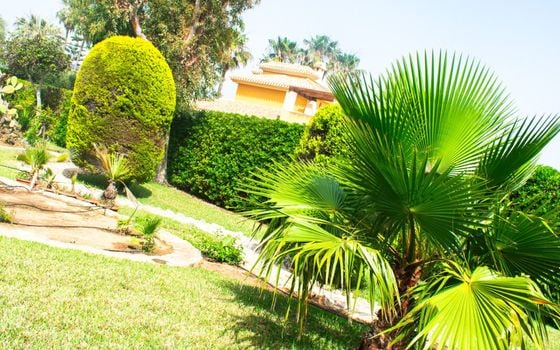 3 bedroom Villa in La Manga - SV91686 - Photo - Small - 33