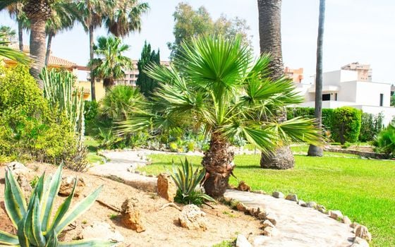 3 bedroom Villa in La Manga - SV91686 - Photo - Small - 37