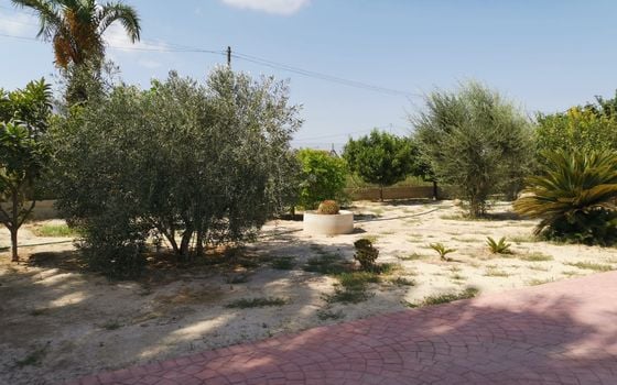 4 bedroom Villa in Orihuela - TT91993 - Photo - Small - 27