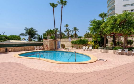 Penthouse de 2 chambres à Benidorm - CGN92434 - Photo - 3