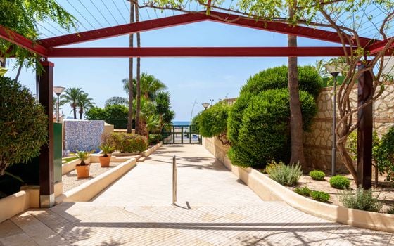 2 bedroom Penthouse in Benidorm - CGN92434 - Photo - Small - 21