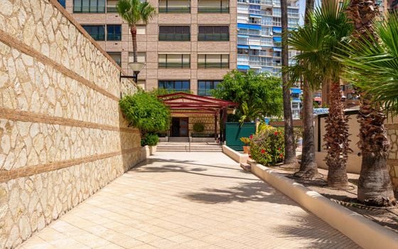 Penthouse de 2 chambres à Benidorm - CGN92434 - Photo - 2