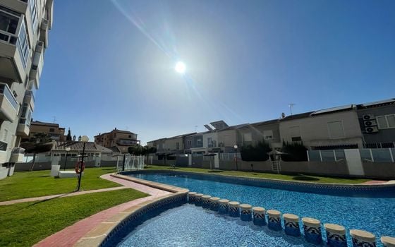 3 bedroom Apartment in Torrevieja - AGI130085 - Photo - Small - 21