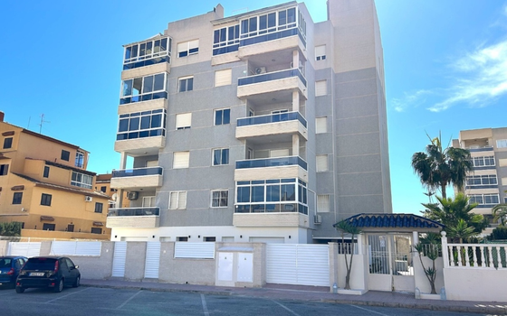 3 bedroom Apartment in Torrevieja - AGI130085 - Photo - Small - 22