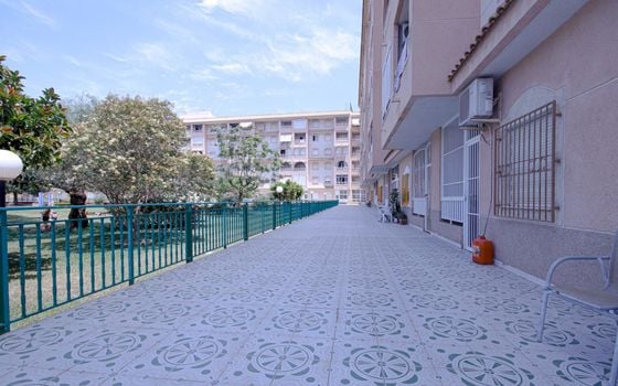2 bedroom Apartment in Torrevieja - SV92659 - Photo - Small - 19