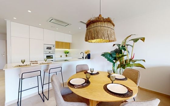 Penthouse de 3 chambres à Pilar de la Horadada - NS130792 - Photo - Small - 14