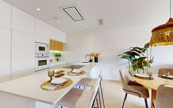 Penthouse de 3 chambres à Pilar de la Horadada - NS130792 - Photo - Small - 15