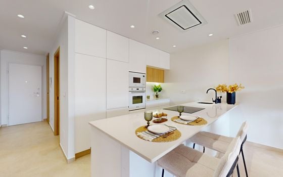 Penthouse de 3 chambres à Pilar de la Horadada - NS130792 - Photo - Small - 16