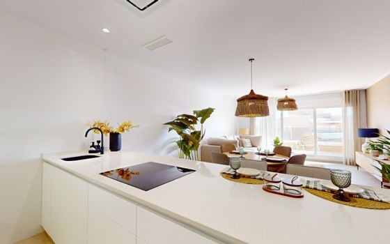 Penthouse de 3 chambres à Pilar de la Horadada - NS130792 - Photo - Small - 21