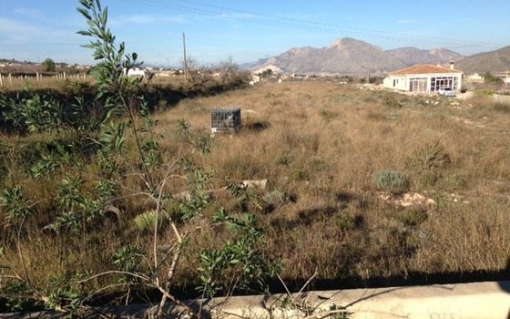 Pozemek   v Hondón de los Frailes, - CNM93008 - Foto - 1