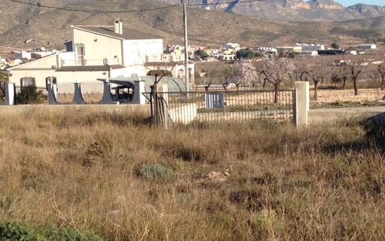 Pozemek   v Hondón de los Frailes, - CNM93008 - Foto - 2