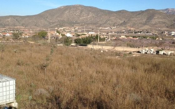  Grundstück in Hondón de los Frailes- CNM93008 - Foto - Small - 6