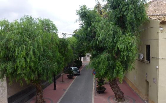 Townhouse de 3 chambres à Hondón de los Frailes - CNM93016 - Photo - Small - 35