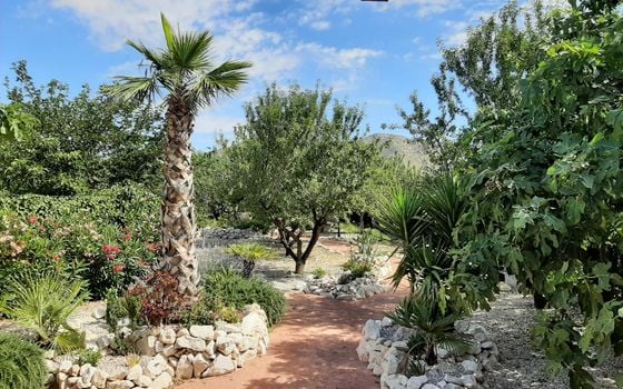 6 Schlafzimmer Villa in Hondón de los Frailes - CNM93028 - Foto - Small - 23