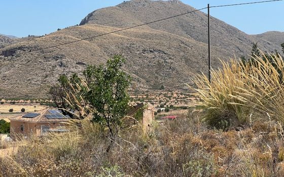Pozemek   v Hondón de los Frailes, - CNM93085 - Foto - 2