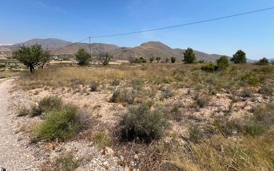  Plot in Hondón de los Frailes- CNM93085 - Photo - Small - 9