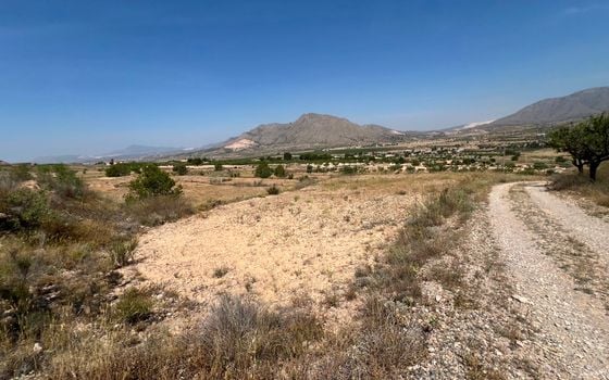  Plot in Hondón de los Frailes- CNM93085 - Photo - Small - 7