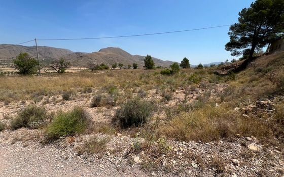  Plot in Hondón de los Frailes- CNM93085 - Photo - Small - 8