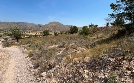  Plot in Hondón de los Frailes- CNM93085 - Photo - Small - 10