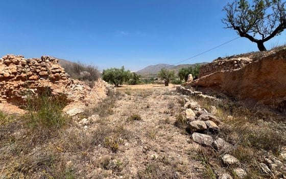  Plot in Hondón de los Frailes- CNM93086 - Photo - Small - 10