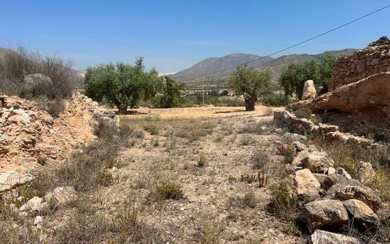  Plot in Hondón de los Frailes- CNM93086 - Photo - Small - 9
