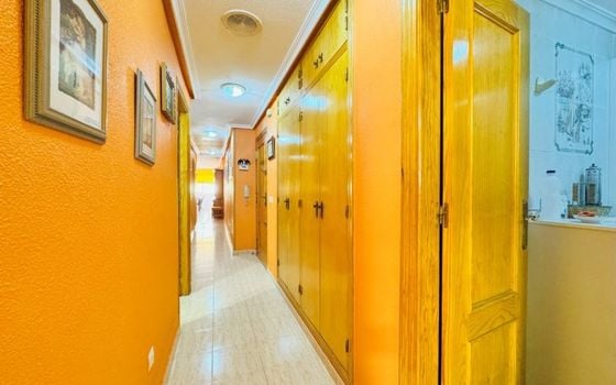 Appartement de 2 chambres à La Mata - SMPN93262 - Photo - Small - 12