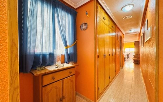Appartement de 2 chambres à La Mata - SMPN93262 - Photo - Small - 11