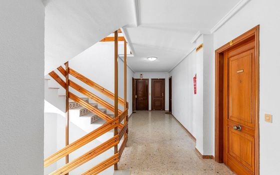 Apartamento de 3 habitaciones en Torrevieja - SHL93332 - Foto - Small - 28