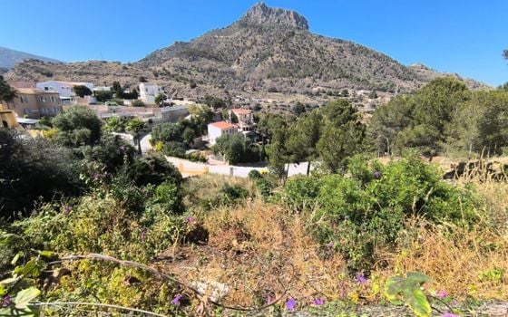 Terrain de  à Calp- ESP93458 - Photo - 1