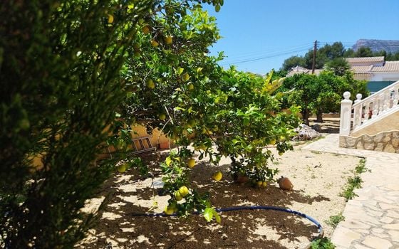 6 bedroom Villa in Calpe - ESP93460 - Photo - Small - 22