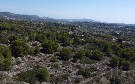 Pozemek   v Benissa, - ESP93465 - Foto - 2