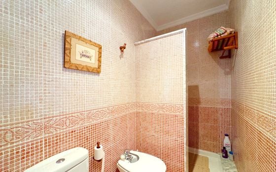 Villa de 4 chambres à Torrevieja - B93667 - Photo - Small - 20