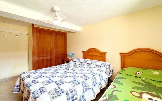 Villa de 4 chambres à Torrevieja - B93667 - Photo - Small - 17