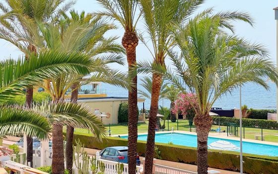 Villa de 4 chambres à Torrevieja - B93667 - Photo - Small - 32