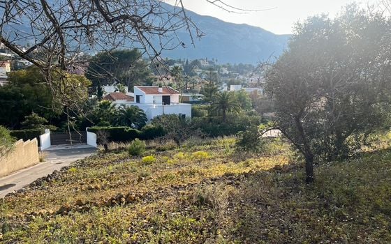 Terrain de  à Denia- APG93782 - Photo - 3